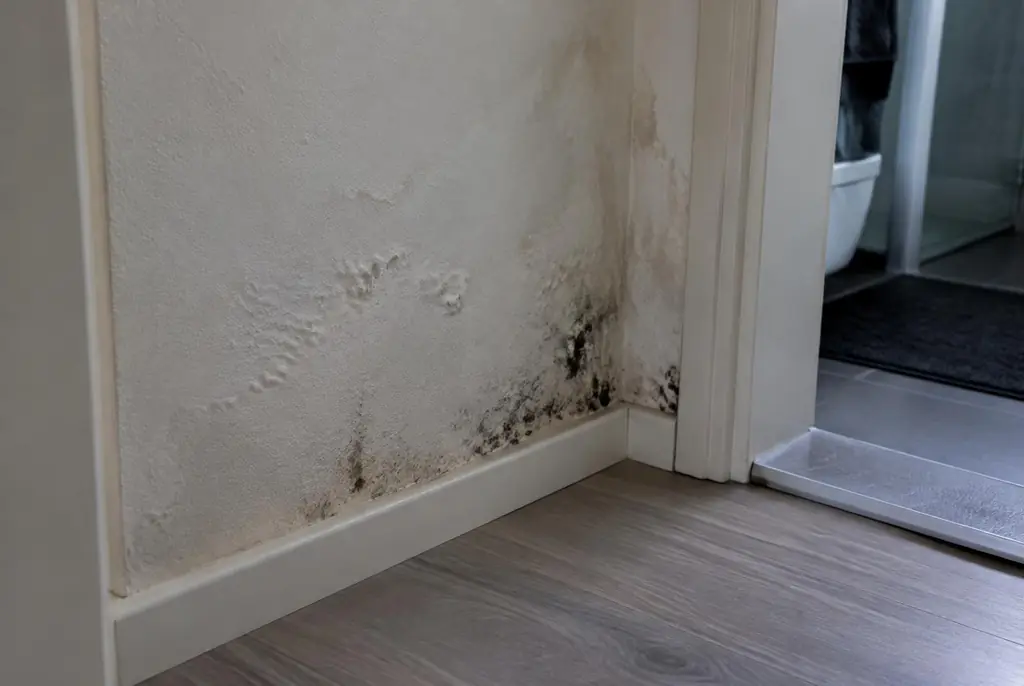Lekdetectie Rosmalen – vochtplek met schimmel op een muur